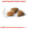 Сухий корм для вибагливих котів із чутливим травленням Royal Canin Exigent Savour 1,6 кг + 400 г у подарунок (домашня птиця)