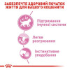 Вологий корм для кошенят Royal Canin Kitten Loaf pouch 85 г, 3+1 шт - домашня птиця