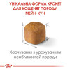 Набір корму для кошенят Royal Canin Kitten Maine Coon 2 кг + 4 pouch - домашня птиця
