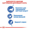 Сухий корм для котів, що живуть у приміщенні Royal Canin Indoor 7+, 1,5 кг - домашня птиця