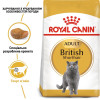 Сухий корм для котів Royal Canin British Shorthair 4 кг - домашня птиця + Catsan 5 л