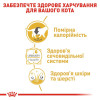 Вологий корм для котів Royal Canin British Shorthair Adult Gravy pouch 85 г, 3+1 шт - домашня птиця