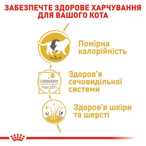 Вологий корм для котів Royal Canin British Shorthair Adult Gravy pouch 85 г, 3+1 шт - домашня птиця