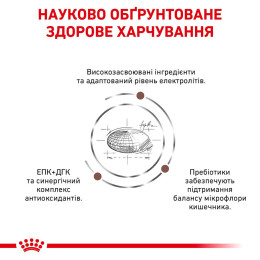 Набір корму для котів Royal Canin Gastro Intestinal 2 кг + 4 pouch - домашня птиця