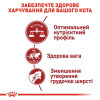 Сухий корм для котів Royal Canin Fit 32, 8+2 кг - домашня птиця