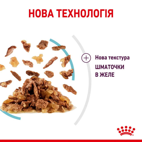 Вологий корм для котів Royal Canin Sensory Feel Jelly pouch 85 г, 3+1 шт - домашня птиця