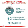 Набір корму для котів Royal Canin hairball care 2 кг + 4 pouch - домашня птиця