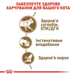 Вологий корм для котів Royal Canin Ageing 12+ pouch 85г, 3+1 шт у подарунок - домашня птиця