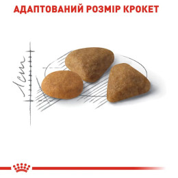 Набір корму для котів Royal Canin exigent savour 2 кг + 4 pouch - домашня птиця