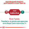 Вологий корм для котів Royal Canin Instinctive Jelly pouch 85 г, 3+1 шт - домашня птиця