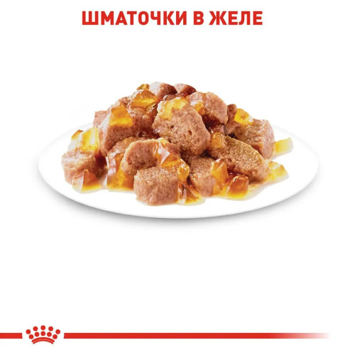 Вологий корм для котів Royal Canin Instinctive Jelly pouch 85 г, 3+1 шт - домашня птиця