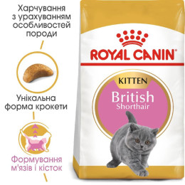 Набір корму для кошенят Royal Canin Kitten British Shorthair 2 кг + 4 pouch - домашня птиця