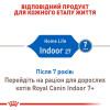 Сухий корм для котів Royal Canin Indoor 4 кг - домашня птиця + Catsan 5 л