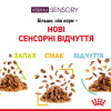 Вологий корм для котів Royal Canin Sensory Feel Jelly pouch 85 г, 3+1 шт - домашня птиця
