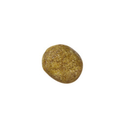 Набір корму для котів Royal Canin Renal 2 кг + 4 pouch - домашня птиця