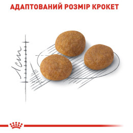 Сухий корм для вибагливих котів Royal Canin Exigent Aromatic 1,6 кг + 400 г у подарунок (домашня птиця)
