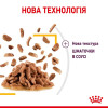 Вологий корм для котів Royal Canin Sensory Taste Gravy pouch 85 г, 3+1 шт - домашня птиця