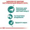 Вологий корм для літніх котів Royal Canin Instinctive Gravy 7+ pouch 85 г, 3+1 шт у подарунок (домашня птиця)