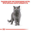Сухий корм для котів Royal Canin British Shorthair 4 кг - домашня птиця + Catsan 5 л