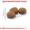 Набір корму для котів Royal Canin Sterilised 37, 2 кг + 4 pouch - домашня птиця