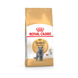 Сухий корм для дорослих котів породи британська короткошерста Royal Canin British Shorthair Adult 1,6 кг + 400 г у подарунок (домашня птиця)