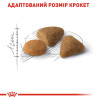Сухий корм для котів Royal Canin Exigent Savour 10 кг - домашня птиця