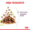 Вологий корм для котів Royal Canin Sensory Smell pouch 85 г, 3+1 шт - домашня птиця