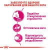 Сухий корм для вибагливих котів із чутливим травленням Royal Canin Exigent Savour 1,6 кг + 400 г у подарунок (домашня птиця)