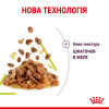Влажный корм для кошек Royal Canin Sensory Smell Jelly pouch 85 г, 3+1 шт - домашняя птица