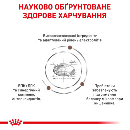 Набір корму для котів Royal Canin Gastro Intestinal Moderate Calorie 2 кг + 4 pouch - домашня птиця