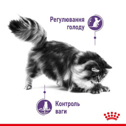 Набір корму для котів Royal Canin Sterilised Appetite Control, 2 кг + 4 pouch - домашня птиця