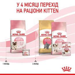 Сухий корм для кошенят Royal Canin Mother & Babycat 1,6 кг + 400 г у подарунок (домашня птиця)