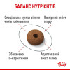Набір корму для котів Royal Canin Sterilised Appetite Control, 2 кг + 4 pouch - домашня птиця