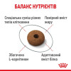 Набір корму для котів Royal Canin Sterilised Appetite Control, 2 кг + 4 pouch - домашня птиця