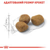 Сухий корм для котів, що живуть у приміщенні Royal Canin Indoor 7+, 1,5 кг - домашня птиця