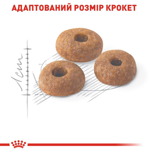 Сухий корм для котів Royal Canin Fit 32, 8+2 кг - домашня птиця