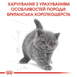 Сухий корм для кошенят Royal Canin Kitten British Shorthair 2 кг + 400 г - домашня птиця