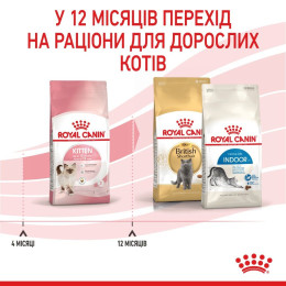 Сухий корм для кошенят Royal Canin Kitten 4 кг - домашня птиця + Catsan 5 л