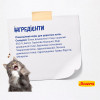 Сухий корм для котів Josera DailyCat 10 кг - домашня птиця