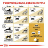 Набір корму для котів Royal Canin British Shorthair Adult 2 кг + 4 pouch - домашня птиця