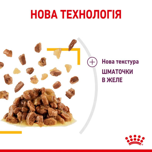 Вологий корм для котів Royal Canin Sensory Taste Jelly pouch 85 г, 3+1 шт - домашня птиця