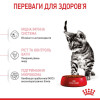 Набір корму для кошенят Royal Canin Kitten Sterilised 2 кг + 4 pouch - домашня птиця