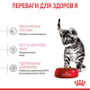 Набір корму для кошенят Royal Canin Kitten Sterilised 2 кг + 4 pouch - домашня птиця