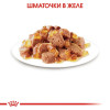 Вологий корм для котів Royal Canin Sterilised Jelly pouch 85 г, 3+1 шт - домашня птиця
