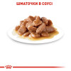 Вологий корм для котів Royal Canin Instinctive Gravy pouch 85 г, 3+1 шт - домашня птиця