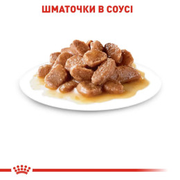 Вологий корм для котів Royal Canin Instinctive Gravy pouch 85 г, 3+1 шт - домашня птиця