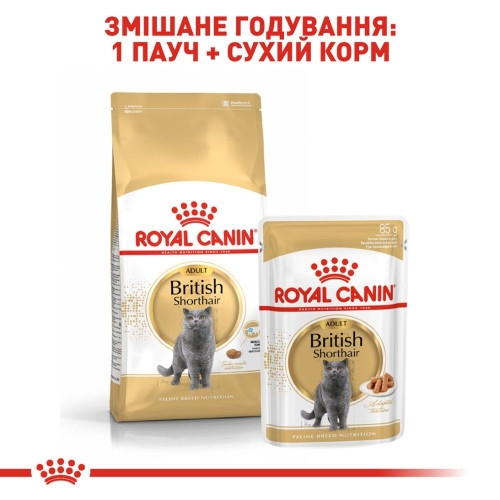 Сухий корм для котів Royal Canin British Shorthair 4 кг - домашня птиця + Catsan 5 л