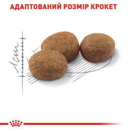 Набір корму для котів Royal Canin Sterilised 37, 2 кг + 6 pouch - домашня птиця