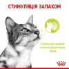 Вологий корм для котів Royal Canin Sensory Smell pouch 85 г, 3+1 шт - домашня птиця