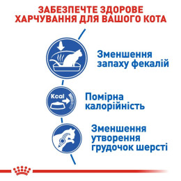 Набір корму для котів Royal Canin Indoor 27, 2 кг + 4 pouch - домашня птиця